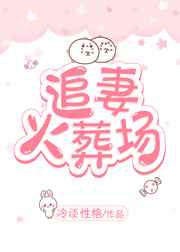 追妻火葬场完结+番外