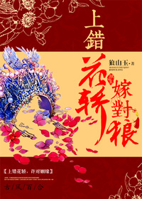 上错花轿嫁对狼