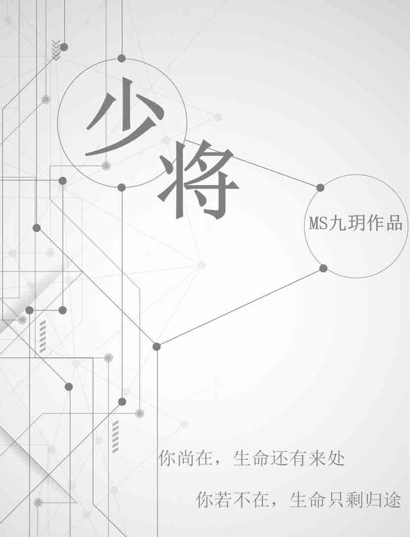 少将