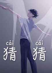 猜猜完结+番外