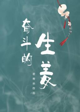 奋斗的生姜