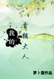 我的首辅大人完结+番外