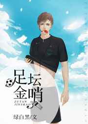 足坛金哨金推完结+番外
